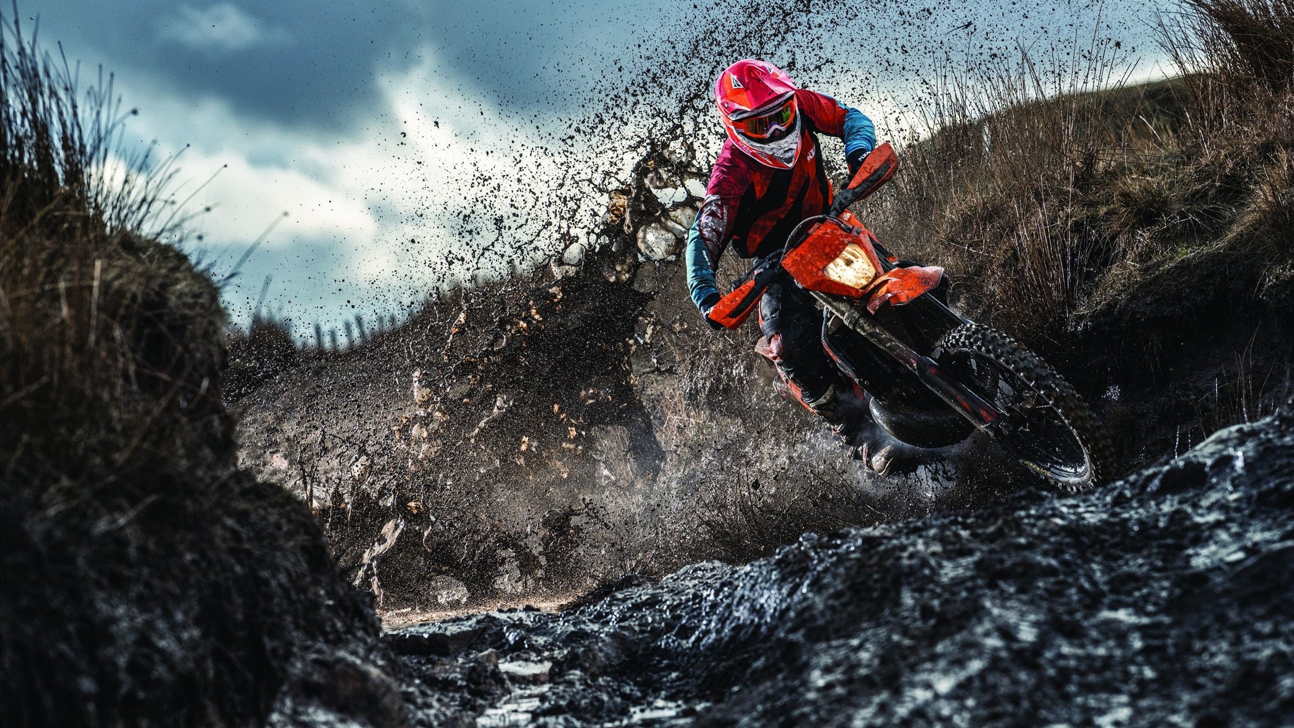 “跑步+亲情！牛仔3K亲子跑在香港温馨启程”